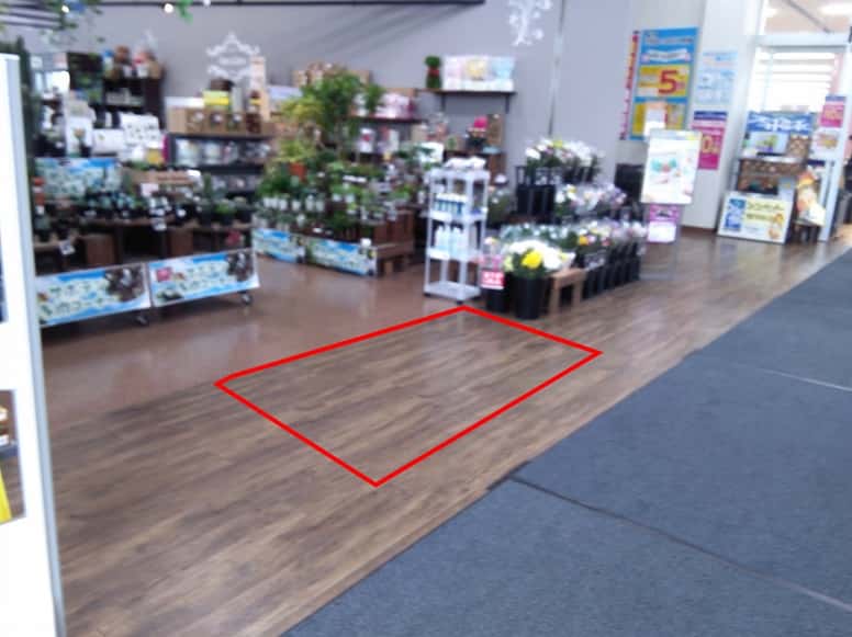 屋内フラワーショップ前 食物販やプロモーション等の出店に最適なホームセンター店内のイベントスペース