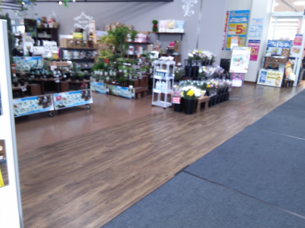 屋内フラワーショップ前 食物販やプロモーション等の出店に最適なホームセンター店内のイベントスペース