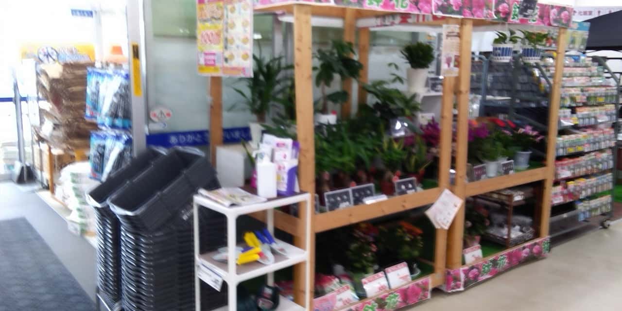 風除室店内側 食物販やプロモーション等の出店に最適なホームセンター店内のイベントスペース