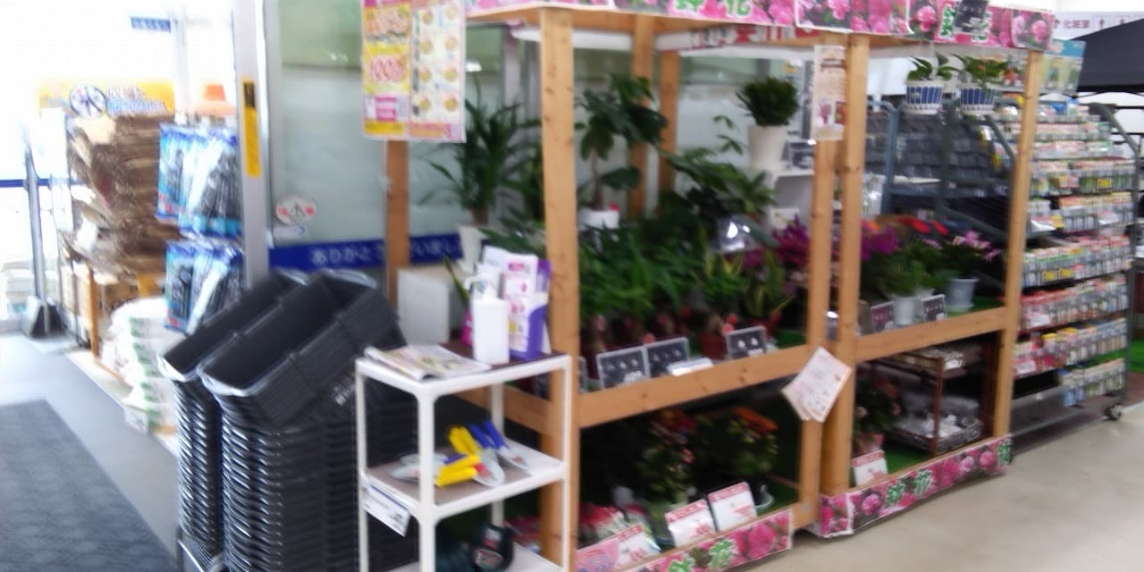 風除室店内側 食物販やプロモーション等の出店に最適なホームセンター店内のイベントスペース