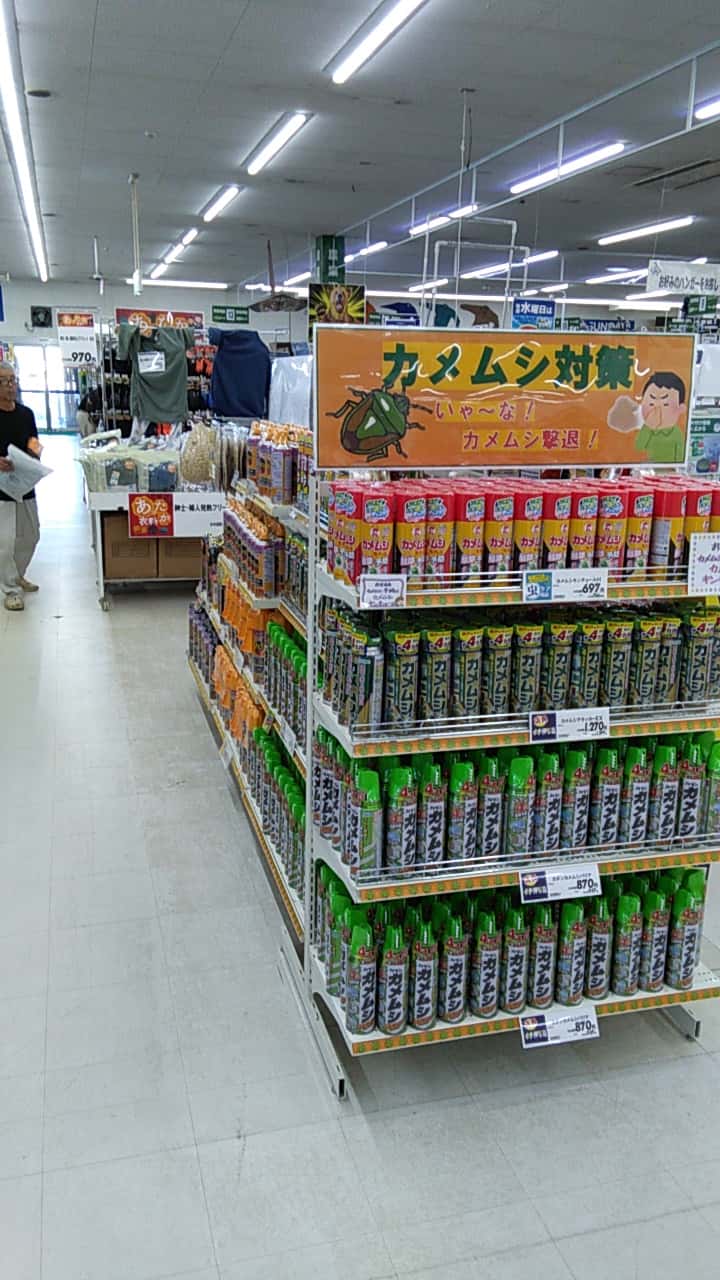 屋内レジ前催事スペース 食物販やプロモーション等の出店に最適なホームセンター店内のイベントスペース