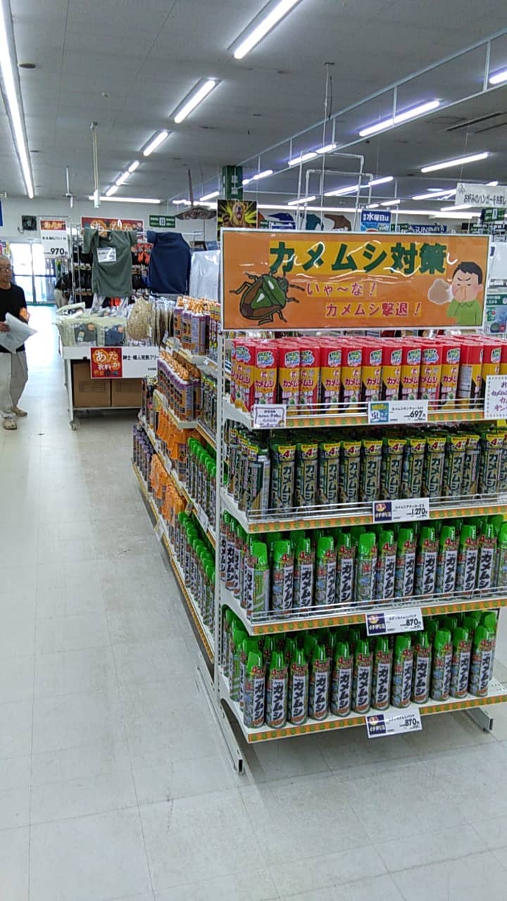 屋内レジ前催事スペース 食物販やプロモーション等の出店に最適なホームセンター店内のイベントスペース